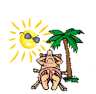Lato opalanie pod palmą